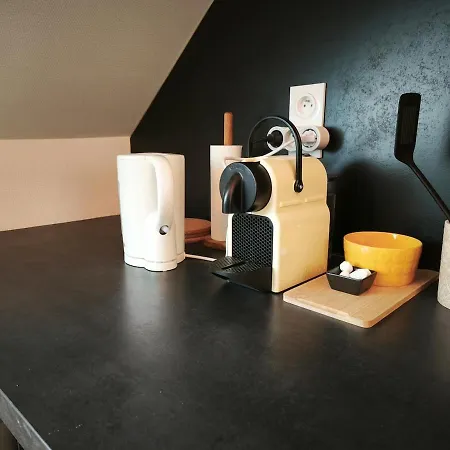 Le Chomel - Thermes 50 M - Hypercentre - Duplex Apartment *